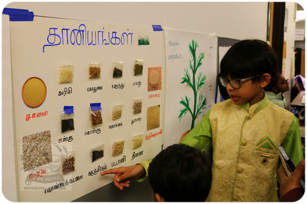 Tamil Carnival 2023 - 04_620x413