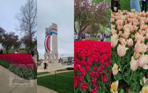 Pella Tulip Festival MAY2023 - 04_620x388