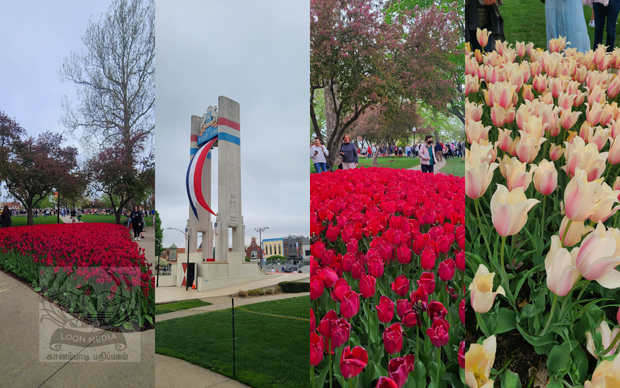 Pella Tulip Festival MAY2023 - 04_620x388