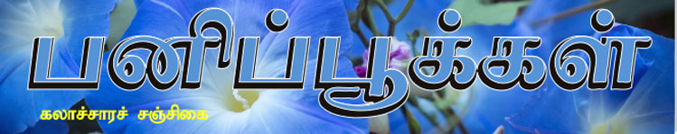 பனிப்பூக்கள்