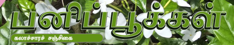 பனிப்பூக்கள்
