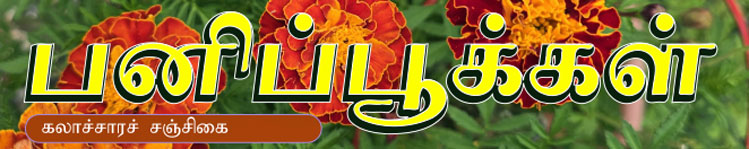 பனிப்பூக்கள்