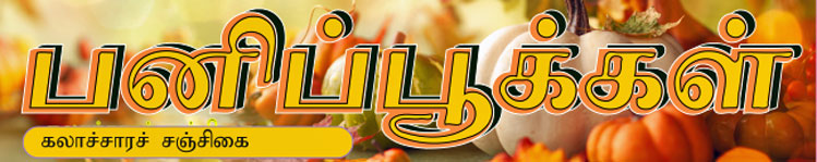 பனிப்பூக்கள்