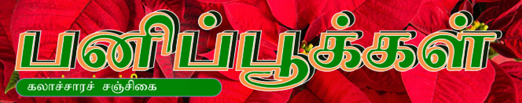 பனிப்பூக்கள்