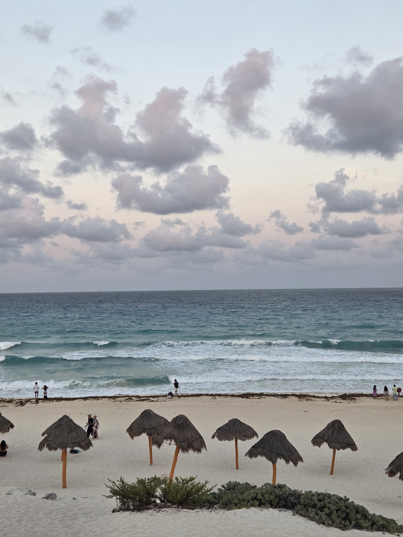 20260411_190059_800X1067