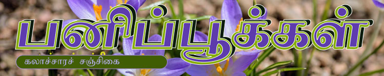 பனிப்பூக்கள்